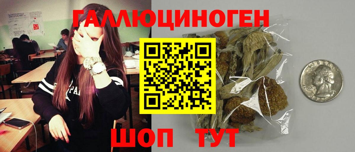 Галлюциногенные грибы Psilocybe  Вход с VPN  Кемерово 